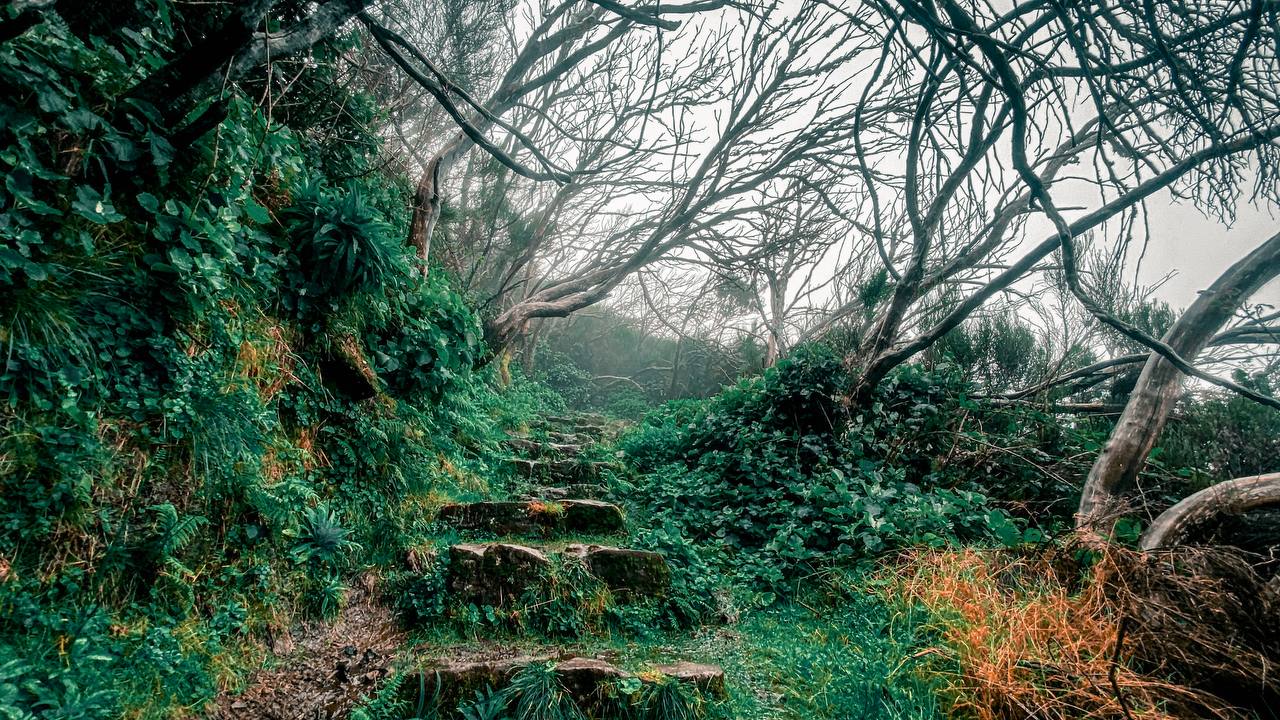 Фото кемпа 8